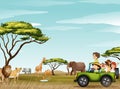 Roadtrip in the field full of animals Royalty Free Stock Photo