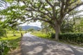 Roadway near Pinar del Rio, Cuba