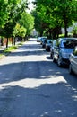 Roadway and parking cars under trees, bright sun above.