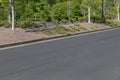 Roadway by parking lot, asphalt with formed concrete curb, trees and bushes landscaping