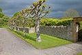 Roadway with a row of pollarded trees in front of a dry stone wall at an English country house Royalty Free Stock Photo