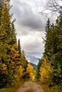 Roadway surrounded by fall colours at Mount Baldy Pass. Bow Valley Wilderness Area Alberta Canada Royalty Free Stock Photo