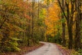 Roadway through the Upper Tremont Area Royalty Free Stock Photo