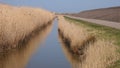 Roadways in natural park