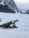 Roaming around Banff, Alberta, Calgary in winter