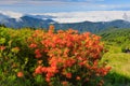 Roan Mountain Highlands Endless Views
