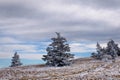 Roan Mountain Winter Hike 4 Royalty Free Stock Photo