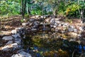 Beautiful Fish Pond at a Wildflower Garden on Top of Mill Mountain