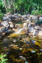 Beautiful Fish Pond at a Wildflower Garden on Top of Mill Mountain