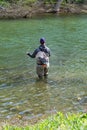 Fly Fishing for Trout on the Roanoke River