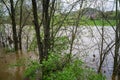 Roanoke River Above Flood Stage - 2 Royalty Free Stock Photo