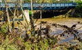 Roanoke River at Flood Stage