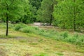 The Roanoke River Flooding, Roanoke, Virginia, USA Royalty Free Stock Photo