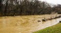 The Roanoke River Greenway Covered By a Flooding Roanoke River - 4 Royalty Free Stock Photo