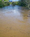 The Roanoke River Out of It`s Banks