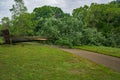 Large Fallen Tree Over the Roanoke River Greenway Royalty Free Stock Photo