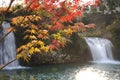 Roar of Falls Park Spot Japan