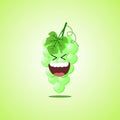 Roar with laughter symbol of the white grapes. Cute icon of the white grapes isolated on green background