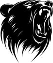 Roaring Angry Bear Mascot Logo Royalty Free Stock Photo