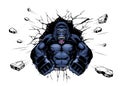 Roaring Angry Gorilla Ramming Through Broken wall Royalty Free Stock Photo