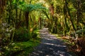 Roaring Billy Falls Track, Located in Mt Aspiring National Park, New Zealand Royalty Free Stock Photo