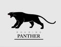 Fearless Panther. Roaring Predator. Roaring Panther. Elegant pan