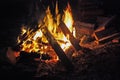 Roaring camp fire. Royalty Free Stock Photo