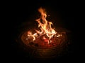 Roaring Camp Fire Royalty Free Stock Photo