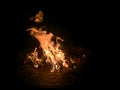 Roaring Camp Fire Royalty Free Stock Photo