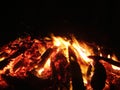 Roaring Camp Fire