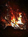 Roaring fire Royalty Free Stock Photo