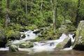 Roaring Fork Creek in the Great Smoky Mountains USA Royalty Free Stock Photo