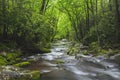 Roaring Fork Creek in the Great Smoky Mountains USA Royalty Free Stock Photo