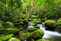 Roaring Fork Creek Mossy Rocks Great Smoky Mountains TN