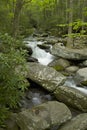 Roaring Fork, Great Smoky Mtns NP Royalty Free Stock Photo