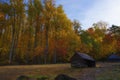 Roaring Fork Motor Trail in the Smoky Mountains