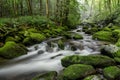 Roaring Fork stream, Smoky Mountains, Tennessee Royalty Free Stock Photo