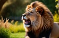 A roaring lion in the garden