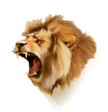 Roaring lion head Royalty Free Stock Photo