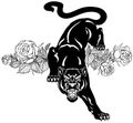 Roaring panther and blooming roses. Black and white tattoo