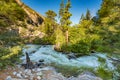 Roaring River Falls, Kings Canyon National Park Royalty Free Stock Photo