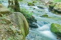 Roaring Run Creek, Jefferson National Forest Royalty Free Stock Photo