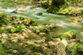 Roaring Run Creek, Jefferson National Forest Royalty Free Stock Photo