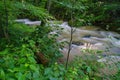 Roaring Run Creek in the Jefferson National Forest Royalty Free Stock Photo