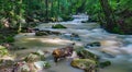 Roaring Run Creek in the Jefferson National Forest Royalty Free Stock Photo