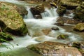 Roaring Run Creek, Jefferson National Forest, USA Royalty Free Stock Photo