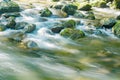 Roaring Run Creek, Jefferson National Forest, USA. Royalty Free Stock Photo