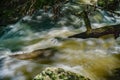 Roaring Run Creek, Jefferson National Forest, USA Royalty Free Stock Photo