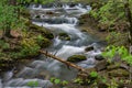 Roaring Run Creek, Jefferson National Forest, USA Royalty Free Stock Photo