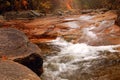 A roaring stream gushes through a fall colored forest